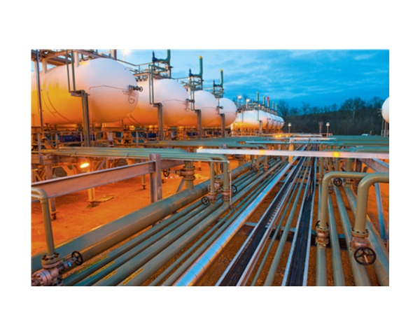 Exploring the Versatility of Natural Gas