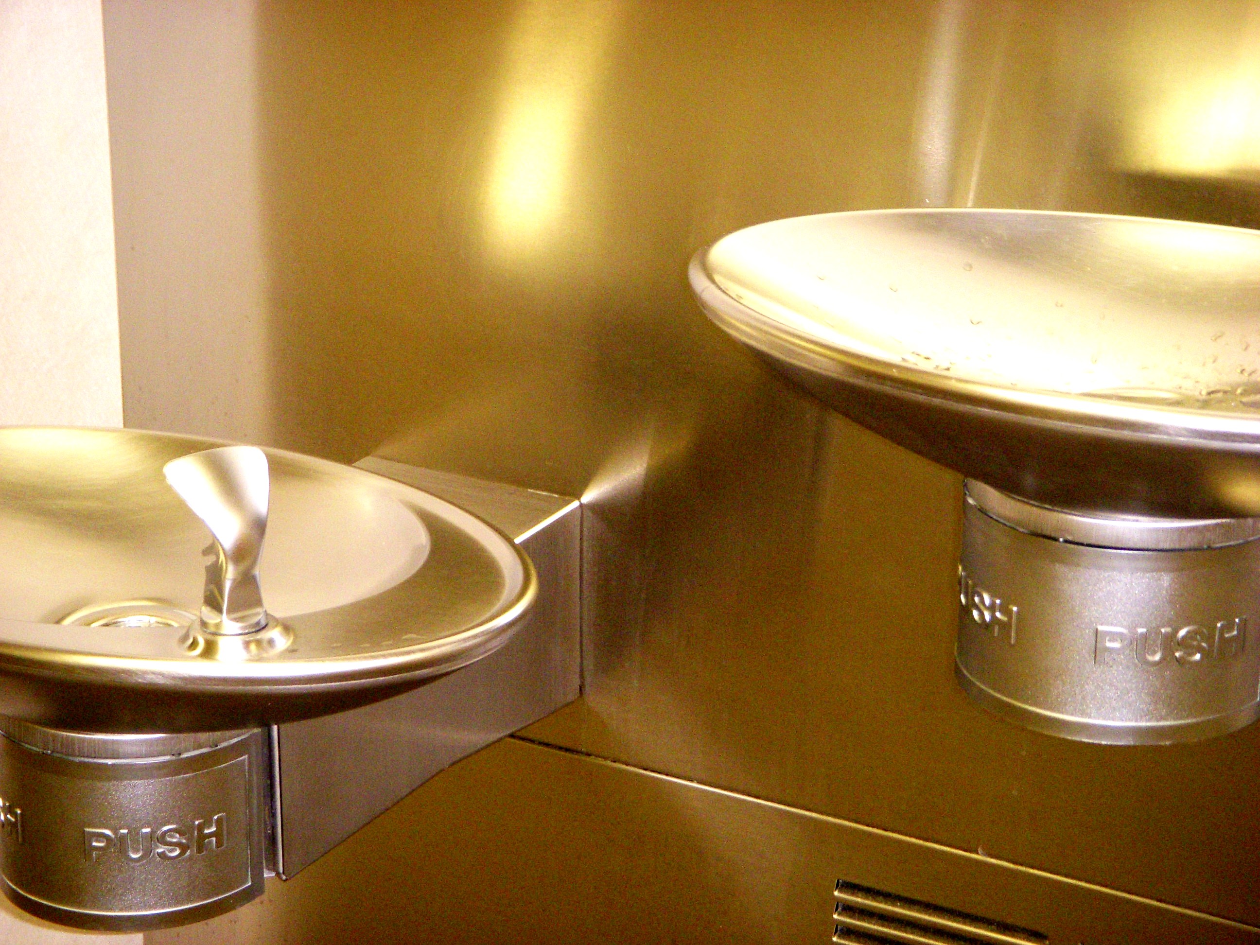 The Unexpected Downside of the Water Fountain Comeback